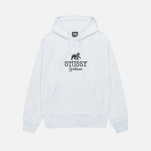 STUSSY SPORTSWEAR HOODIE